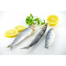 Galician sardines  